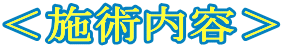 ＜施術内容＞